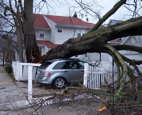 Ein umgestürzter Baum liegt auf einem Auto